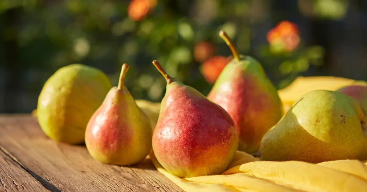 Leave a Reply Cancel reply