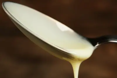 How to Make Unsweetened Condensed Milk? Learn Today