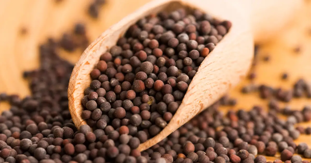 Is Mustard Keto Friendly? Exploring the Condiment Shelf